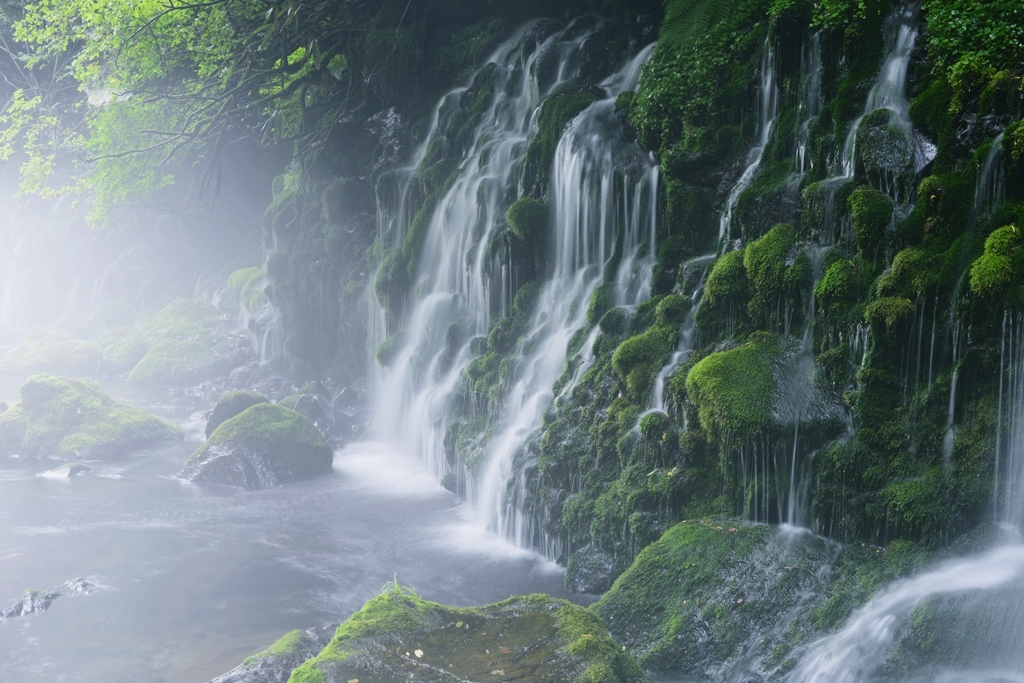 鳥海山の恵