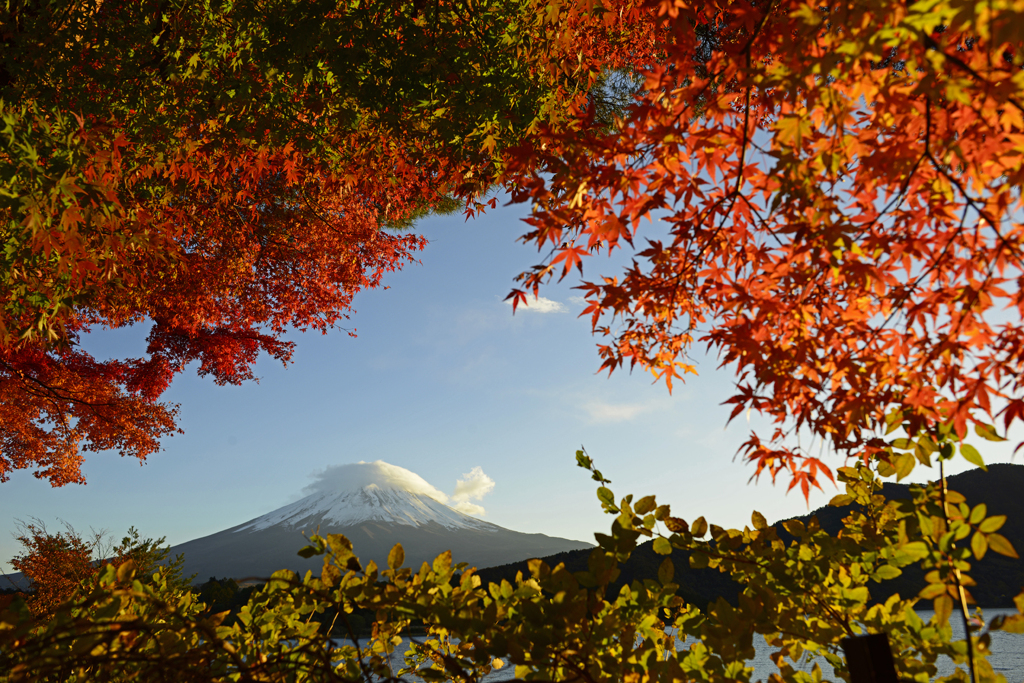 紅葉と富士