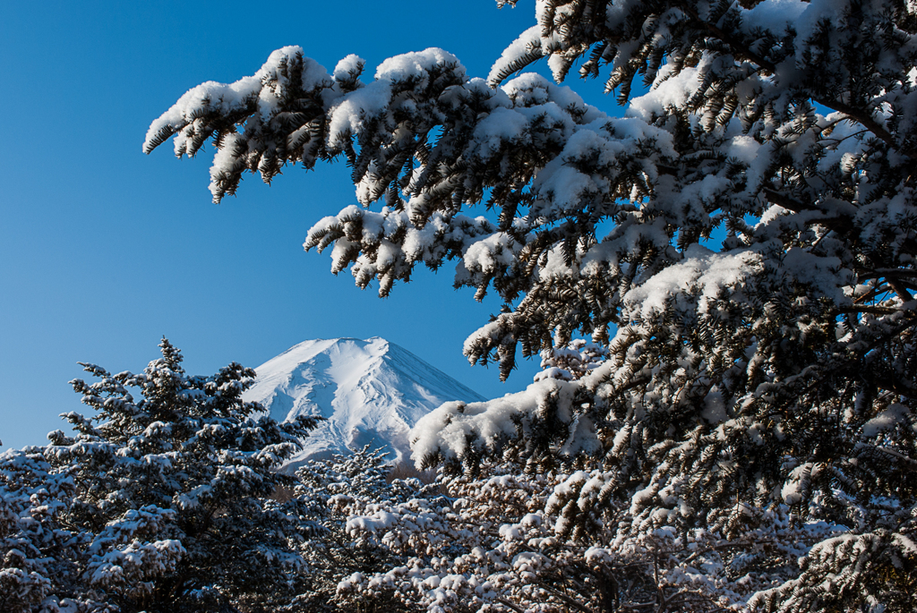 雪の山