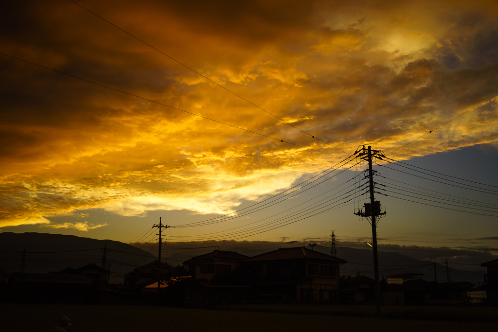 電線