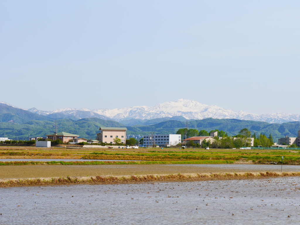 山