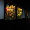 田母沢御用邸の紅葉６
