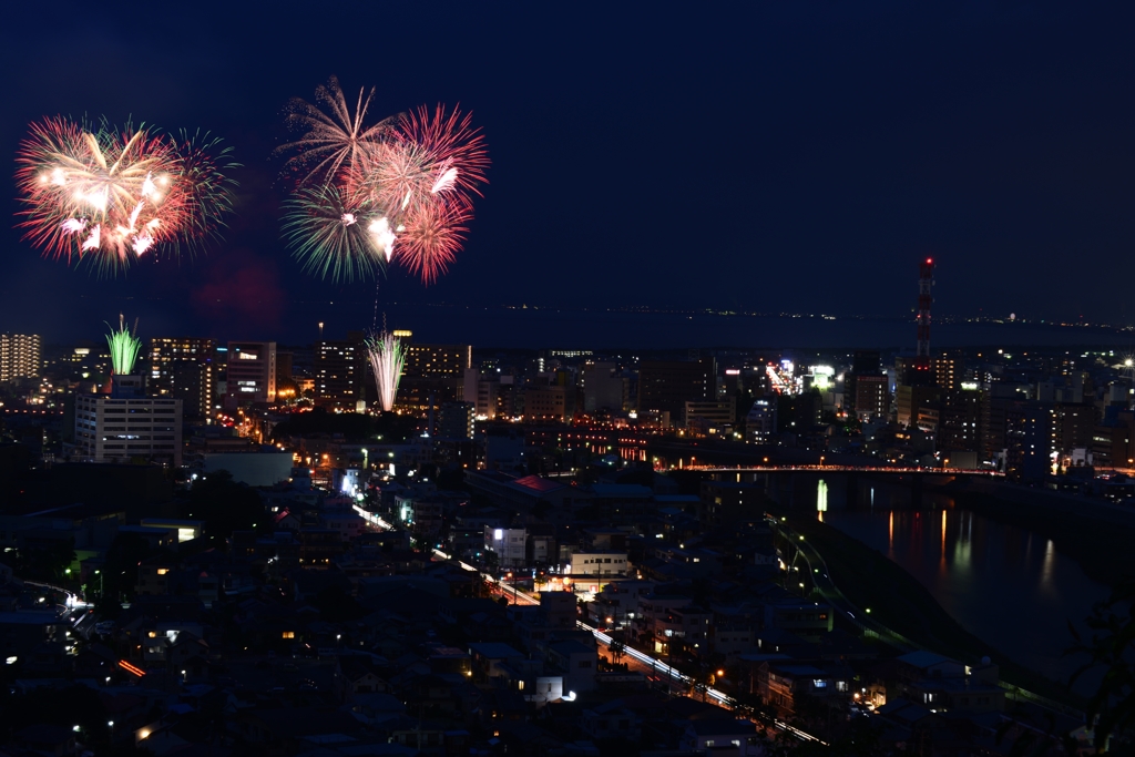 夜空に咲く