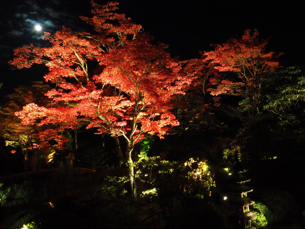 夜の逍遥園５