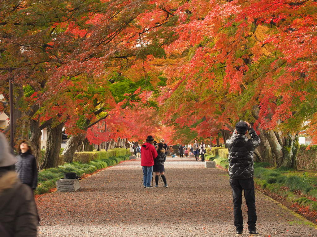 大山参道１