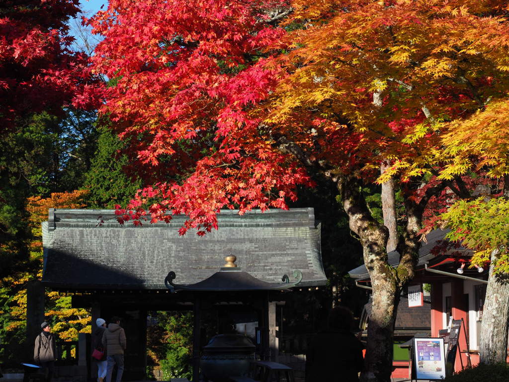 輪王寺へ２