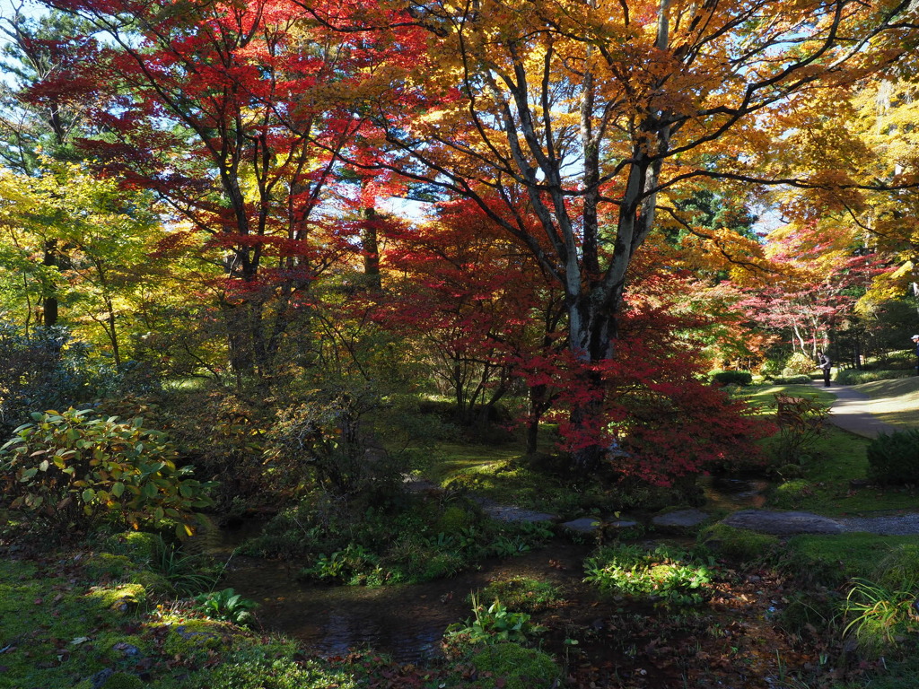 田母沢御用邸の紅葉11