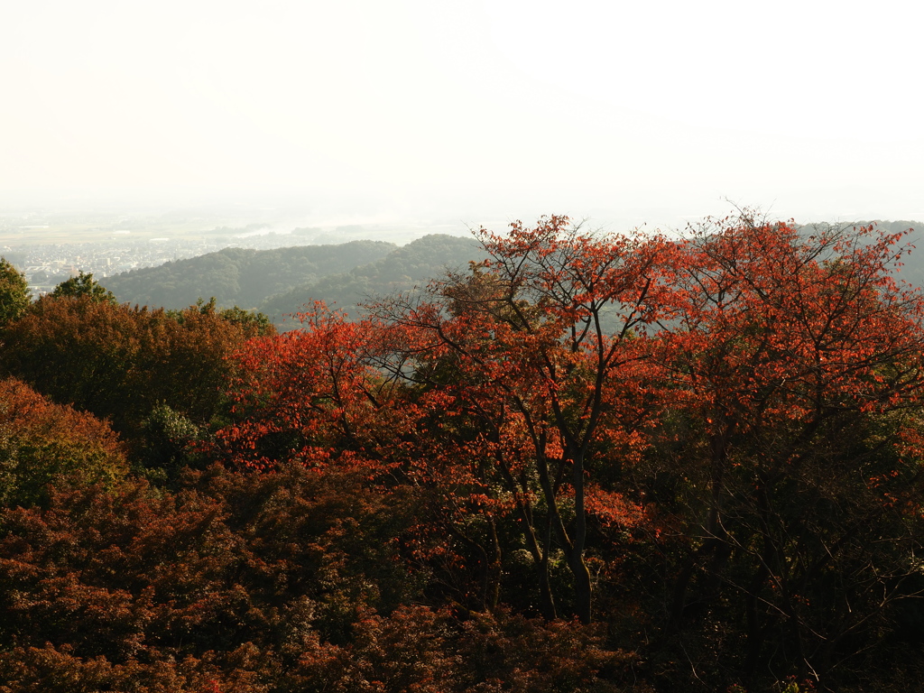 大平山から望む