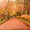 参道を歩く