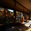 田母沢御用邸の紅葉５