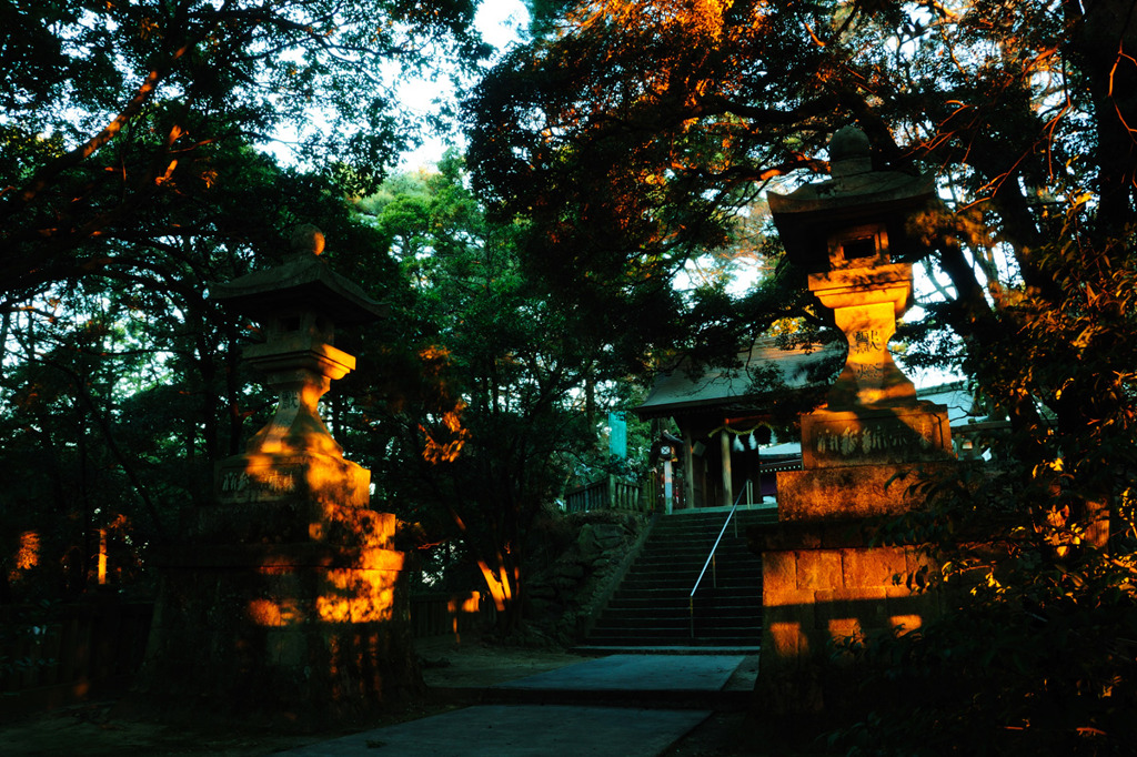 朝日浴びる神社