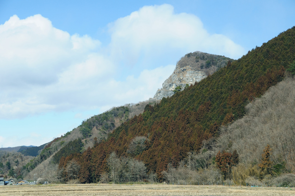 ゴリラ山