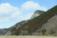 ゴリラ山