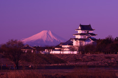 富士と城