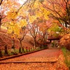 まるで京都