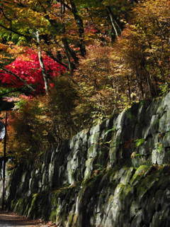 輪王寺に向かって歩く