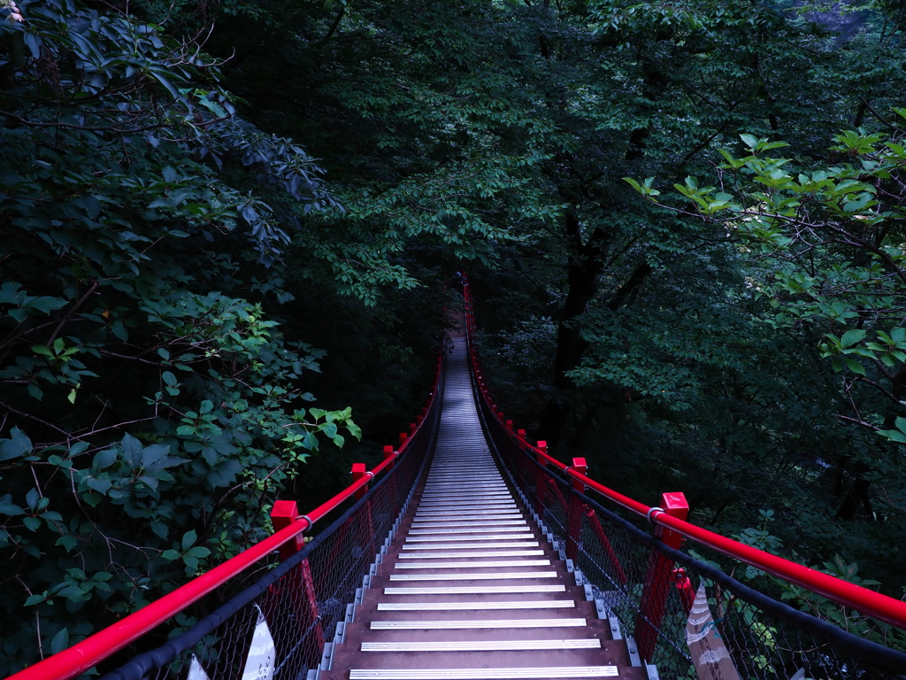 吊橋の奥へ