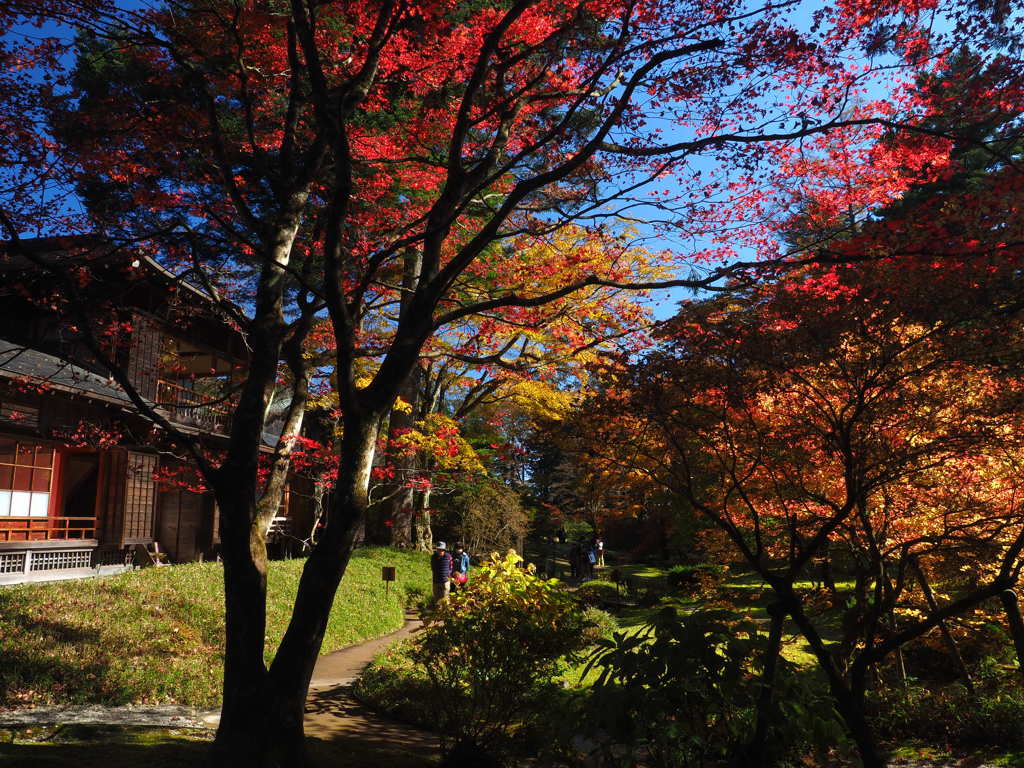 田母沢御用邸の紅葉９