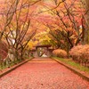 静寂