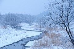自然のみの風景