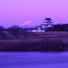 富士と城
