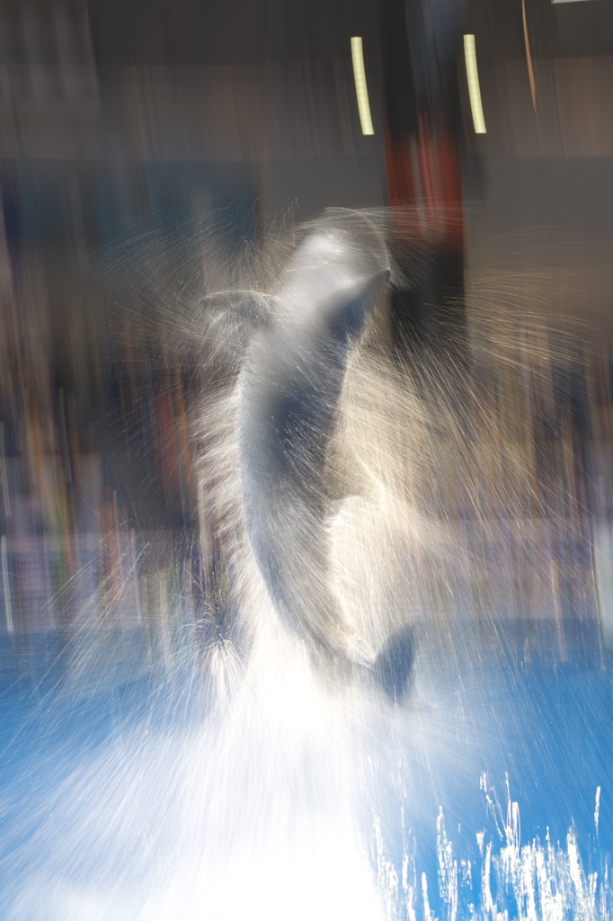 splash!!