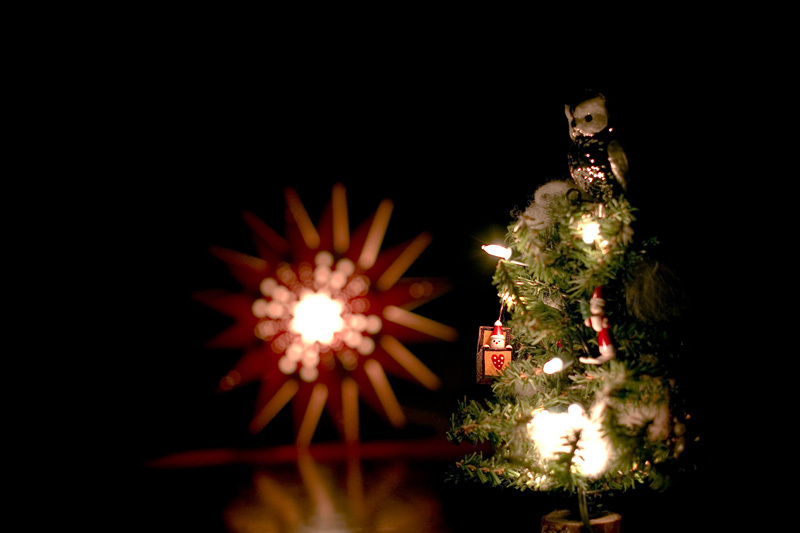 メリー・クリスマス
