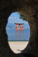 厳島神社　大鳥居