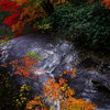 恵庭渓谷～秋