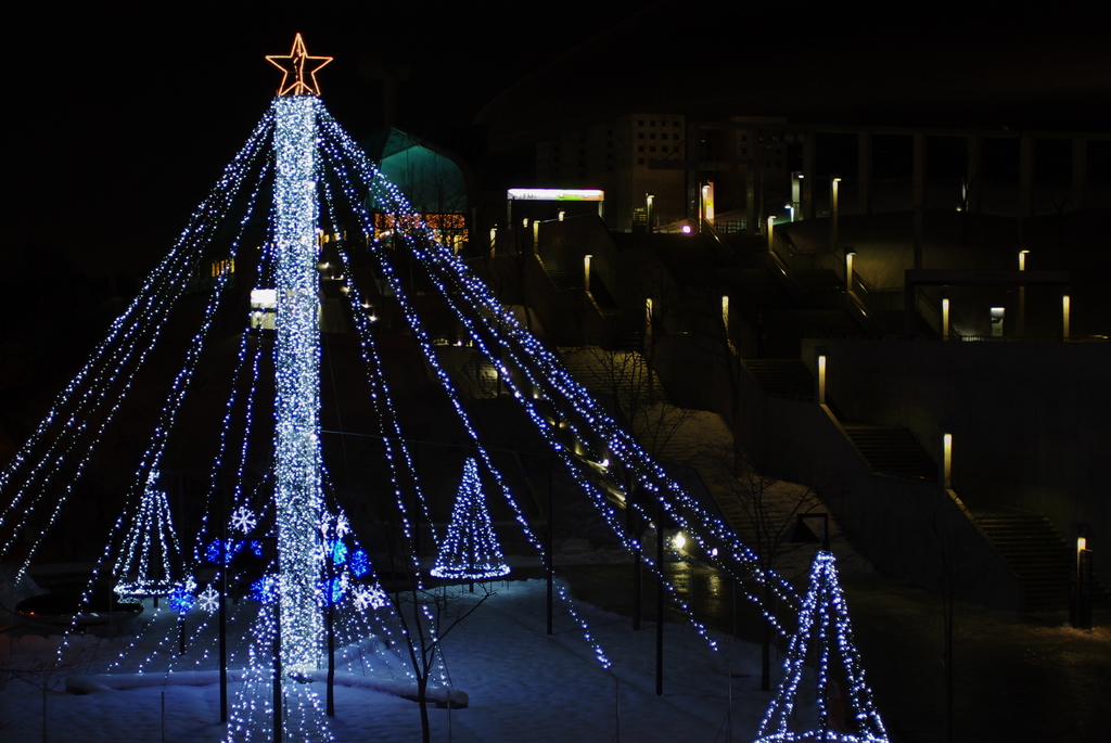 white tree illumination