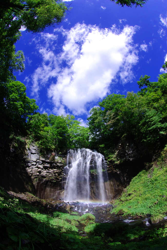 秘密の楽園