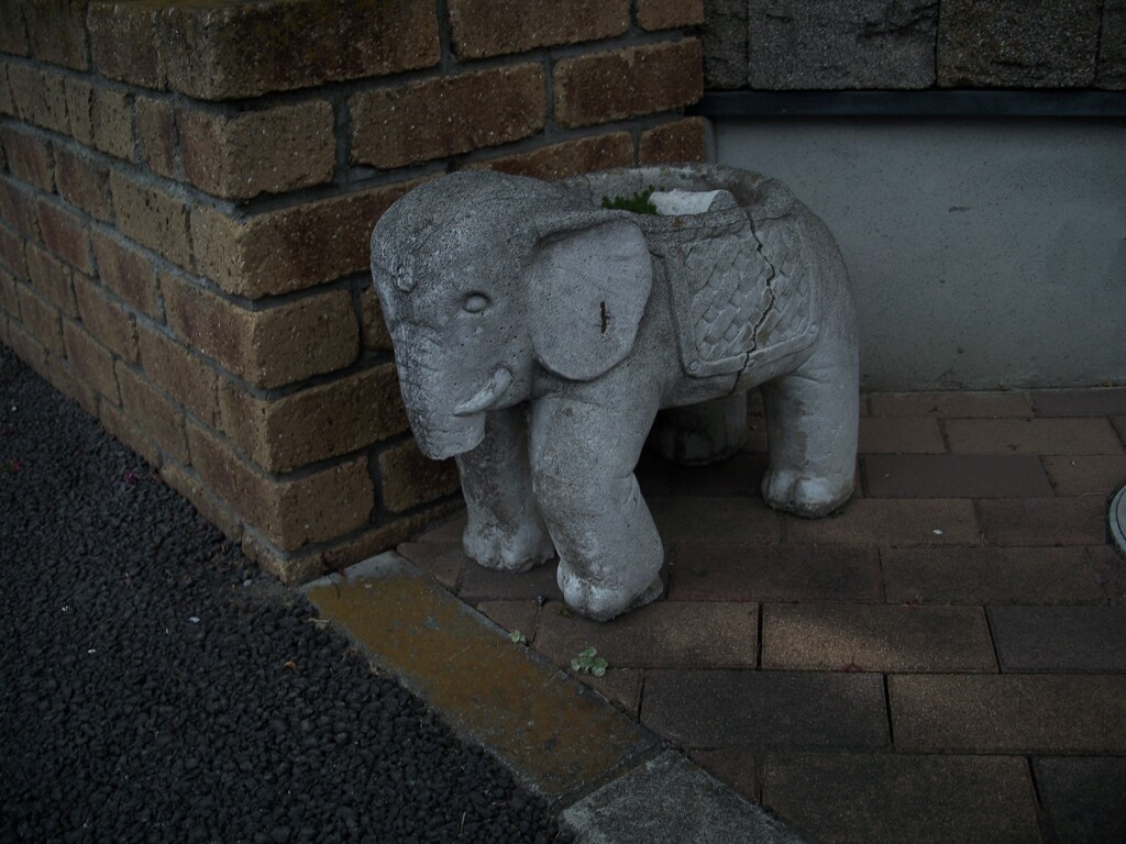 鼻の短い象さん
