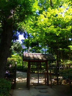 大田黒公園01