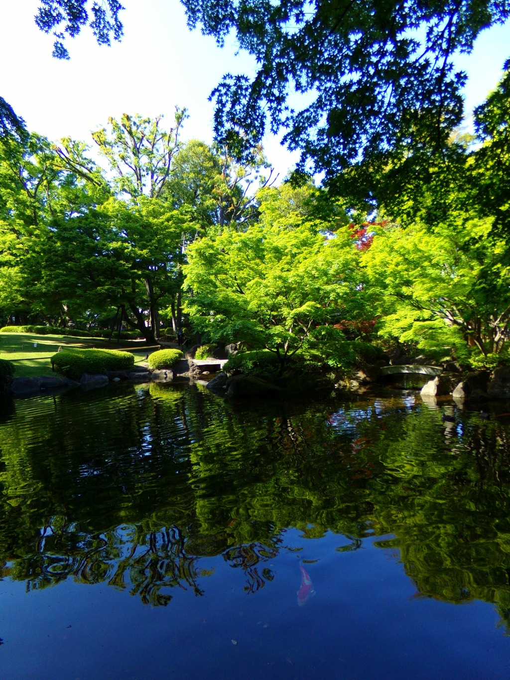 大田黒公園04