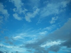 竜が舞う