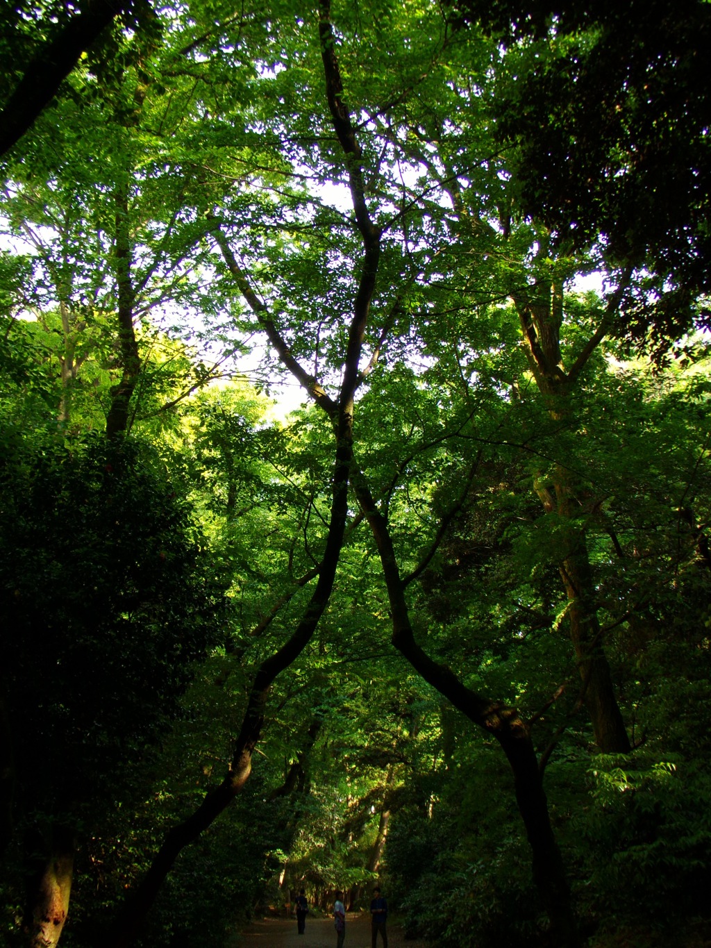 六義園10