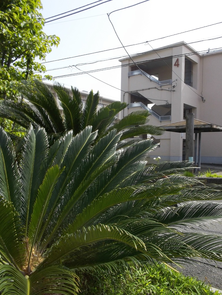 モダンチ