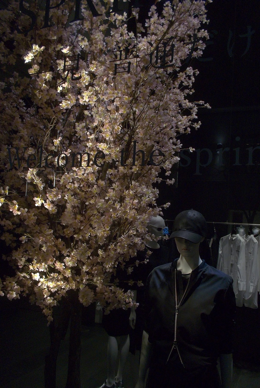 GINZA WINDOW 033