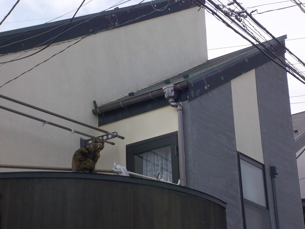おはよう