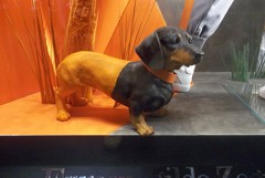 GINZA WINDOW 029　ぬりえ