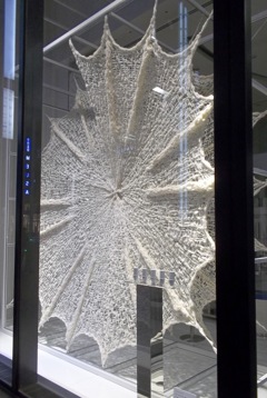 GINZA WINDOW 028