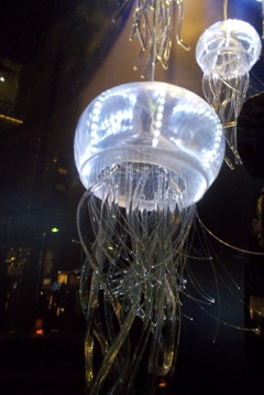 GINZA WINDOW 020