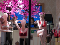 GINZA WINDOW 055