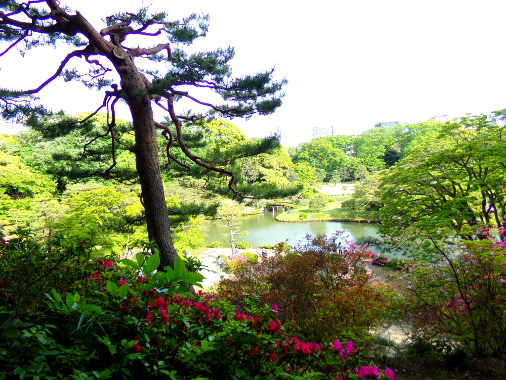 六義園07