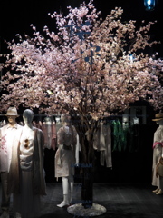GINZA WINDOW 061