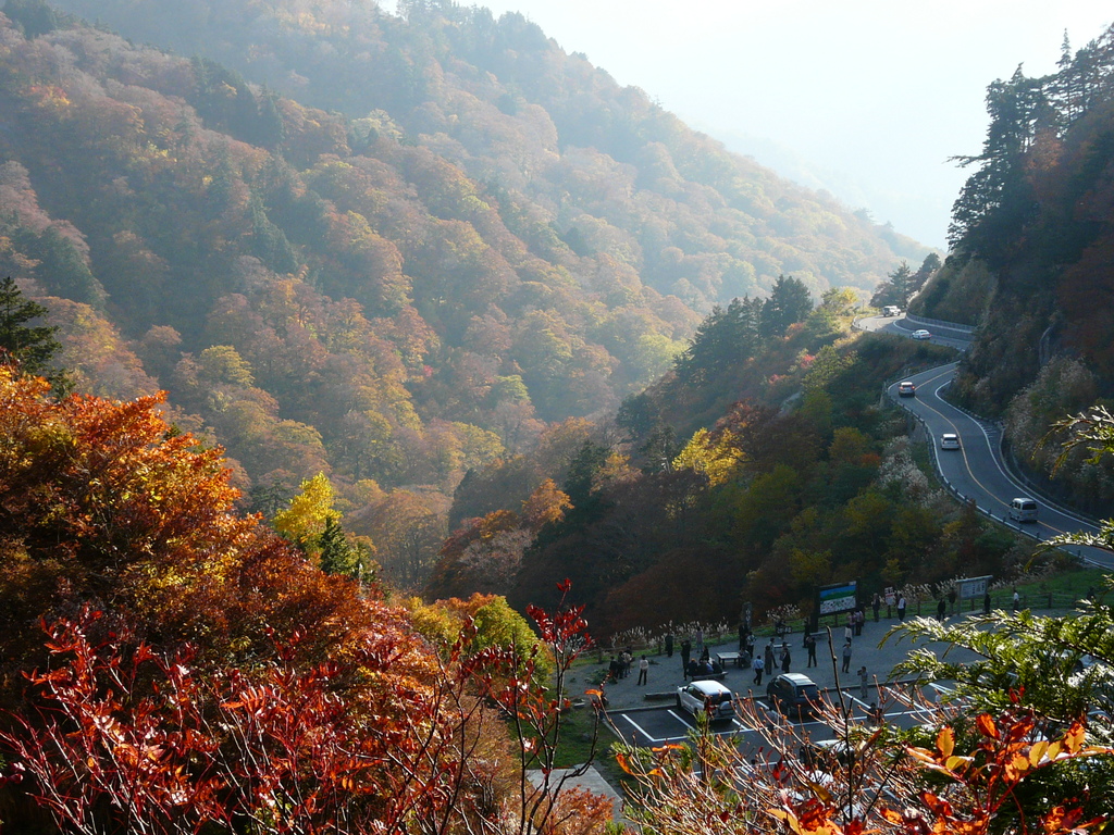 白山スーパー林道