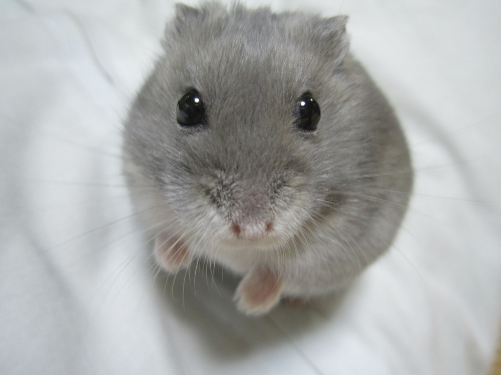 おひさしぶりです～お元気ですか？