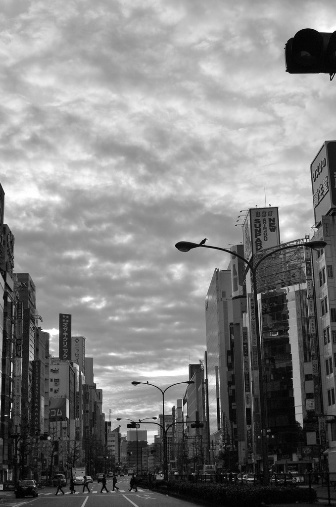 early morning.