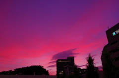 赤い空