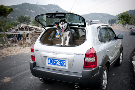 ドライブ　ゴーゴー